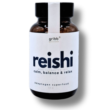 REISHI - Pó