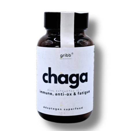 CHAGA - Pó