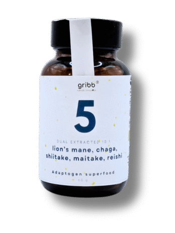 5 MUSHROOM MASTER BLEND – Pó