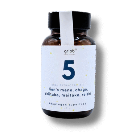 5 MUSHROOM MASTER BLEND - Pó