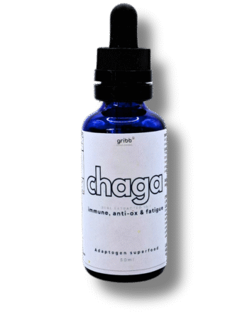 CHAGA TINCTURE – Tintura