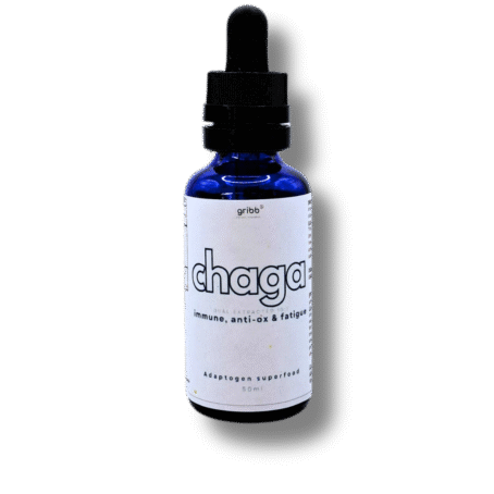 CHAGA - Tintura